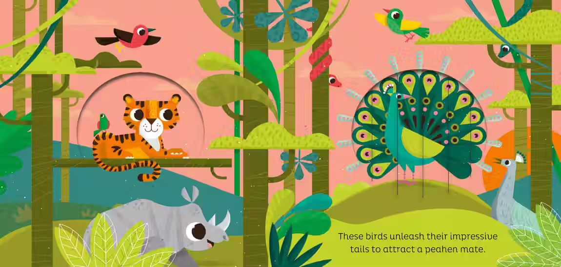 Animal Magic – novelty book series design by Victoria Vassiades, image 8 of 11
