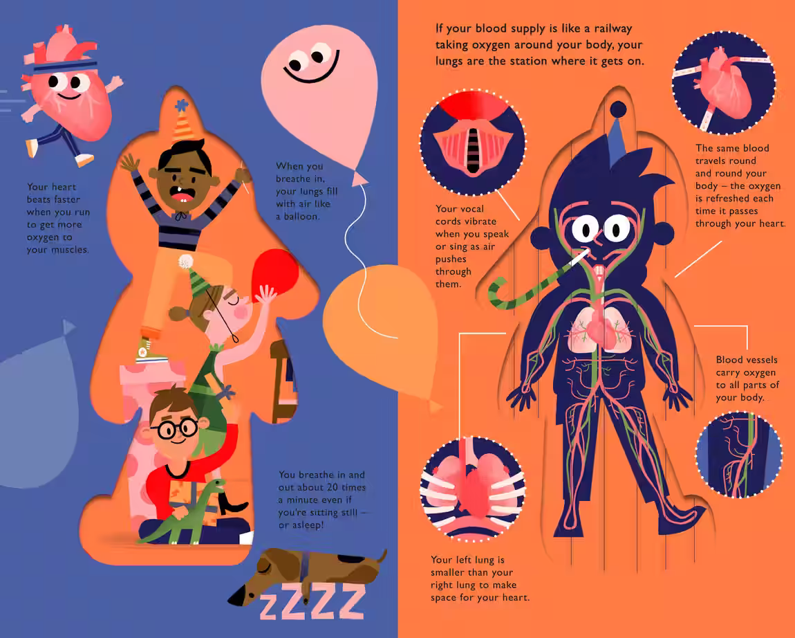 What's Inside Me? – novelty book design by Victoria Vassiades, image 4 of 4
