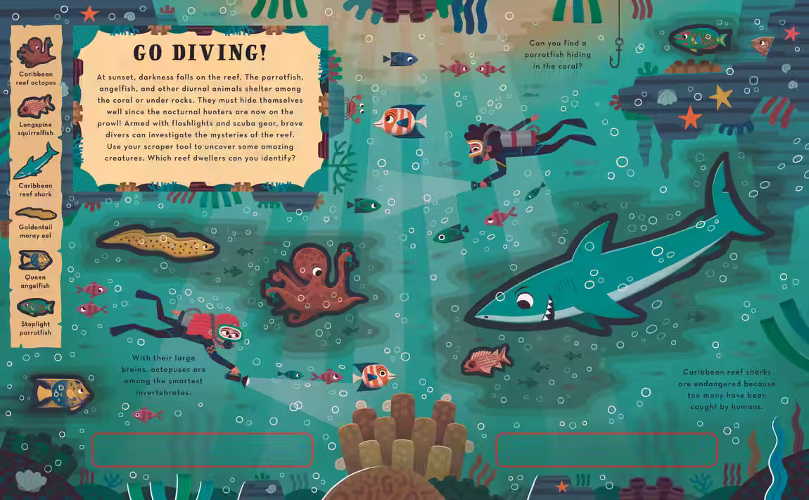Dig and Discover – novelty book series design by Victoria Vassiades, image 6 of 12