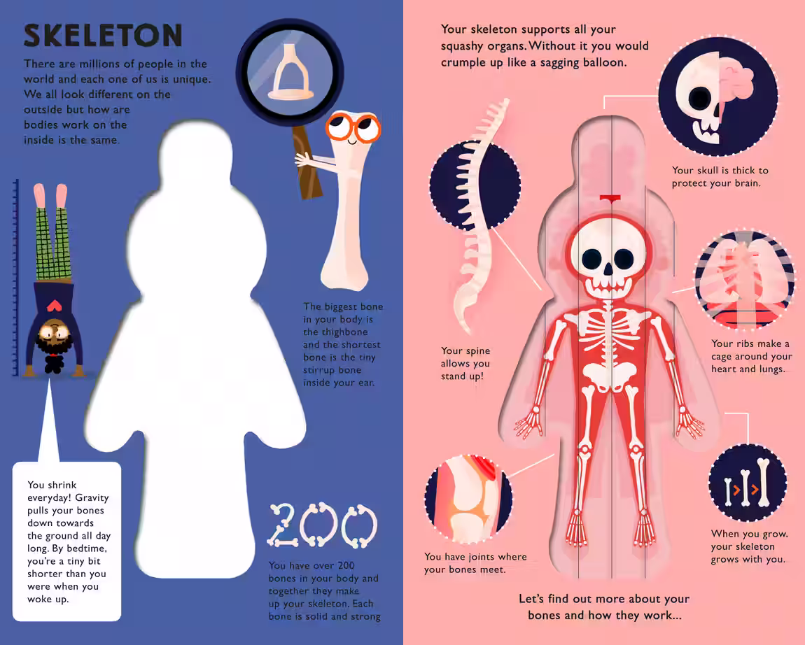 What's Inside Me? – novelty book design by Victoria Vassiades, image 2 of 4