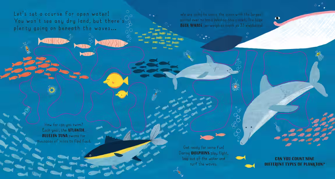 Nature Watch – novelty book series design by Victoria Vassiades, image 4 of 6