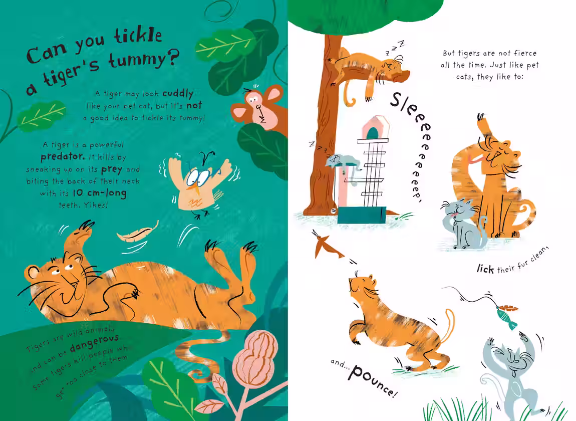 Little Know-It-Alls – non-fiction series design by Victoria Vassiades, image 4 of 8