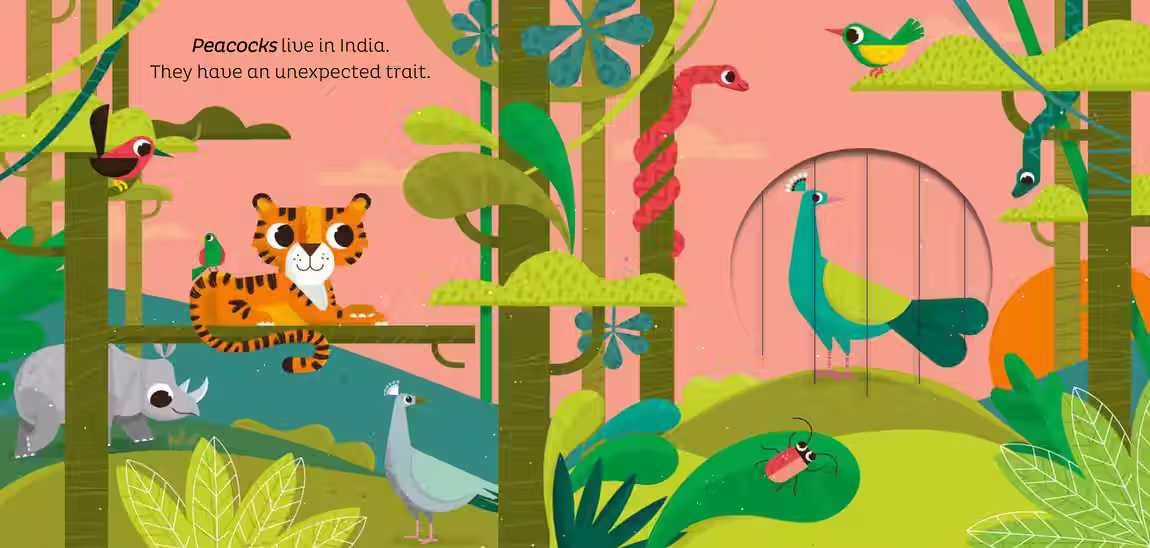Animal Magic – novelty book series design by Victoria Vassiades, image 7 of 11