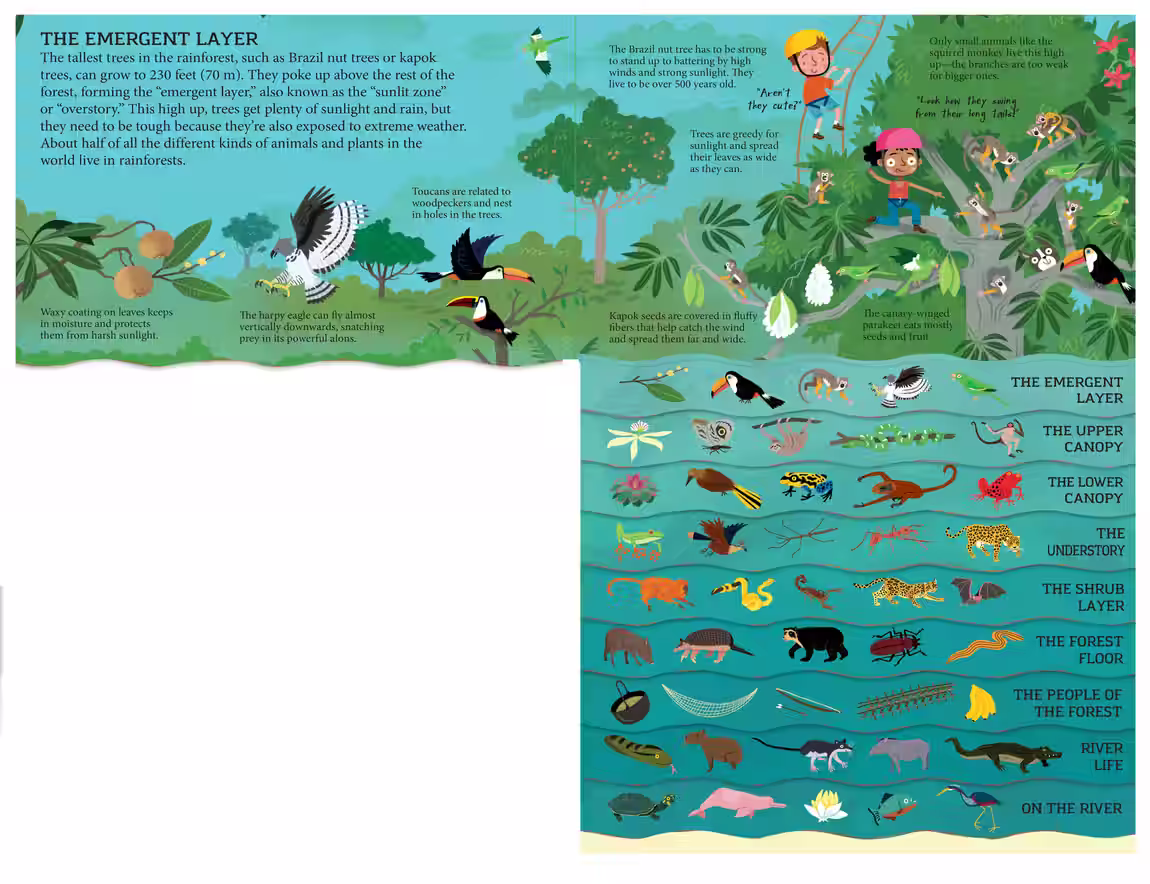 Let's Go Into the Rainforest – novelty book design by Victoria Vassiades, image 2 of 2
