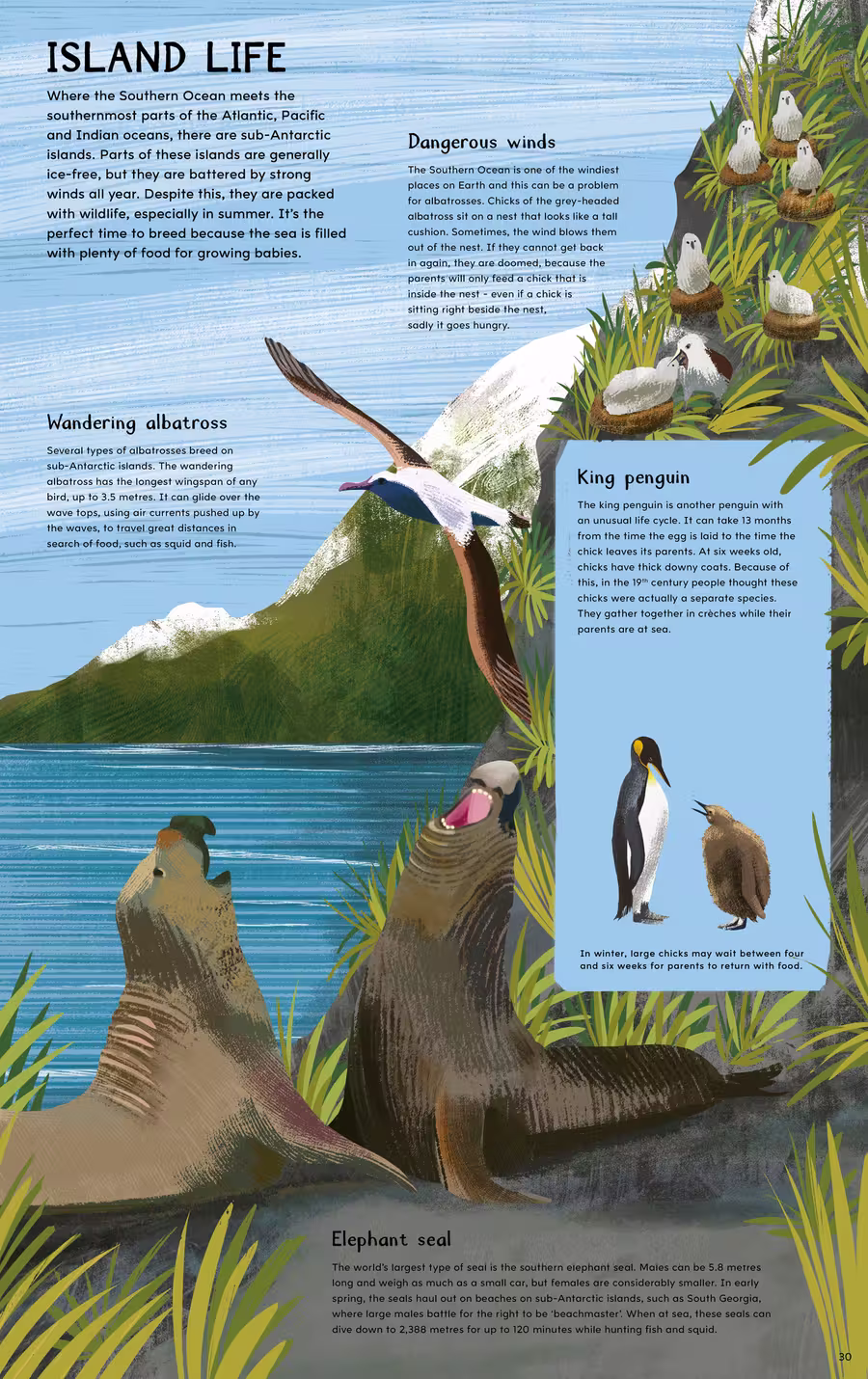 North Pole / South Pole Flip Book – non-fiction design by Victoria Vassiades, image 4 of 4