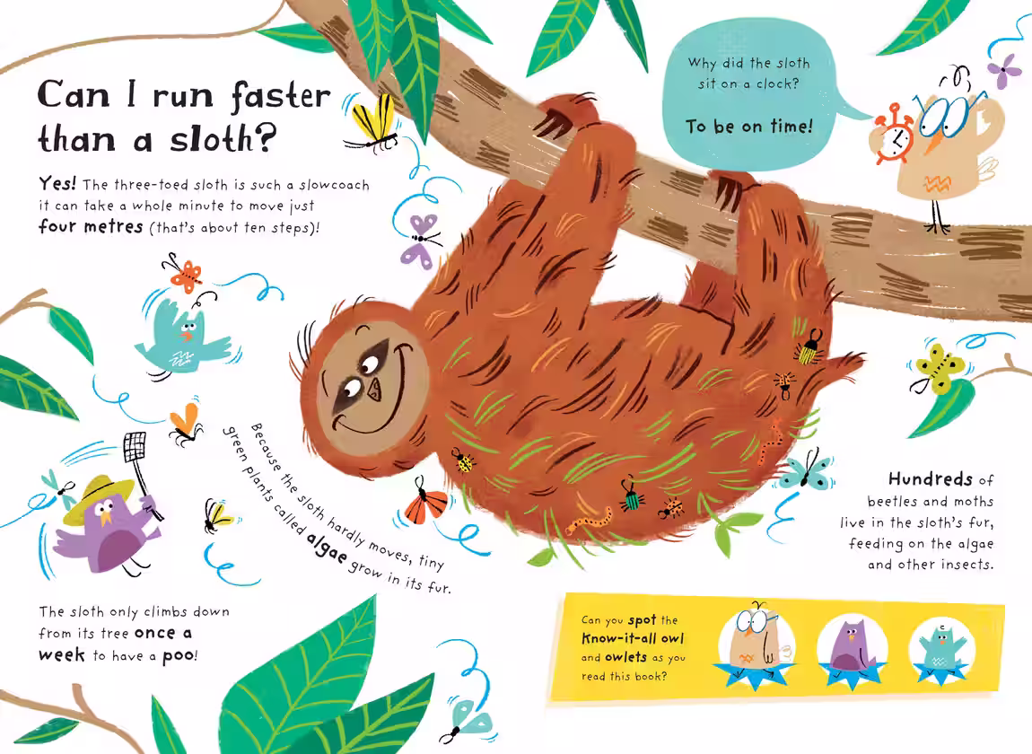Little Know-It-Alls – non-fiction series design by Victoria Vassiades, image 3 of 8