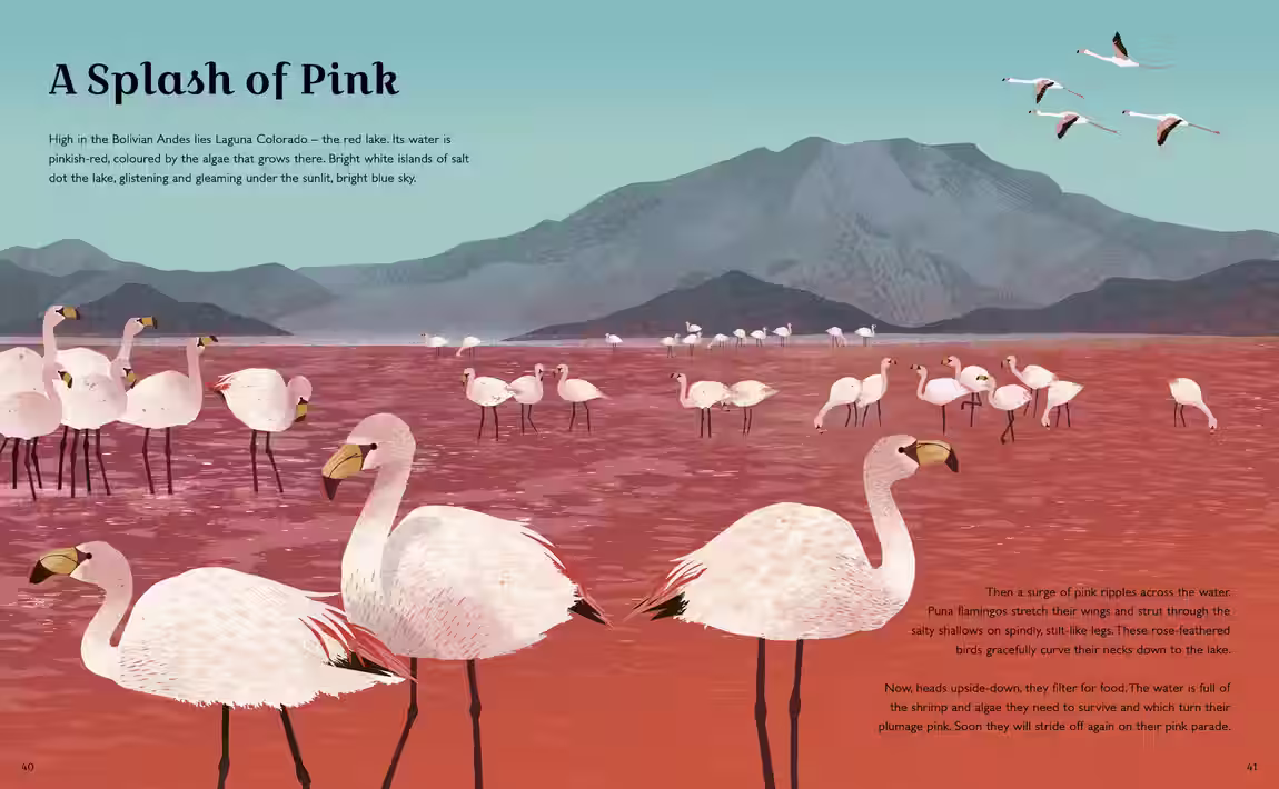 World of Wonder: Mountains – non-fiction design by Victoria Vassiades, image 3 of 3