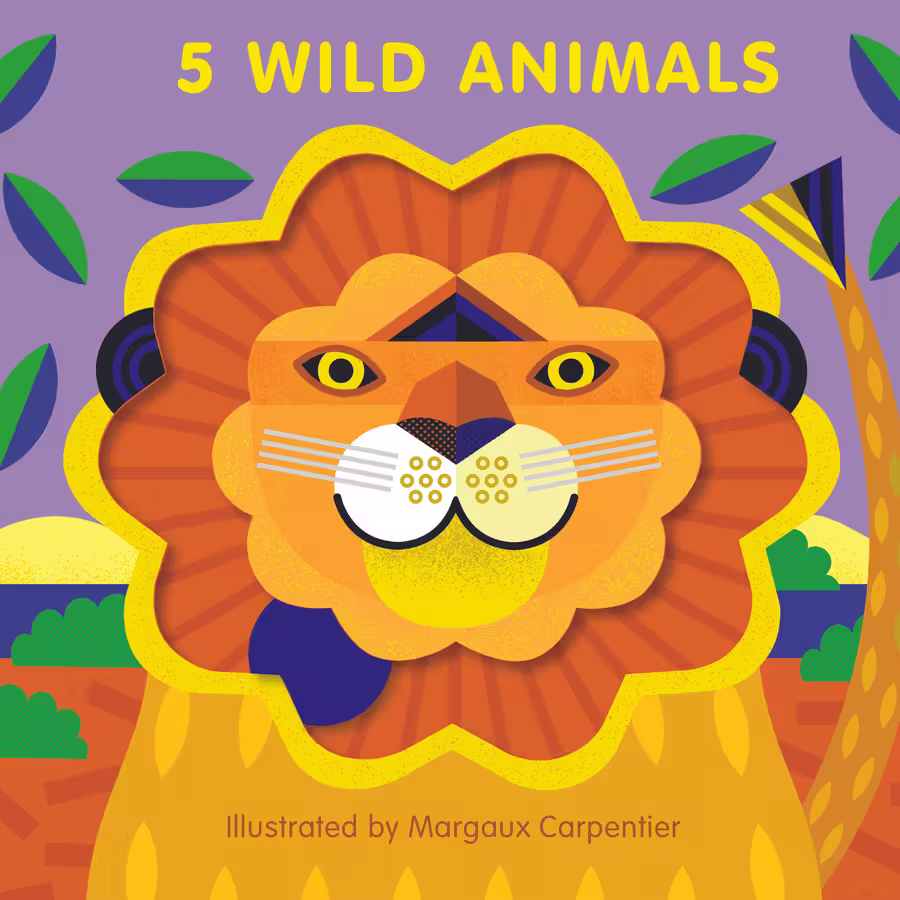 5 Wild – novelty book series cover design by Victoria Vassiades