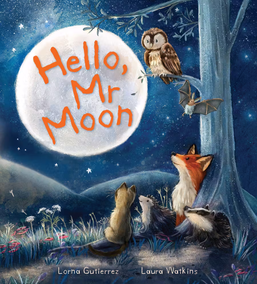 Hello, Mr Moon – picture book cover design by Victoria Vassiades